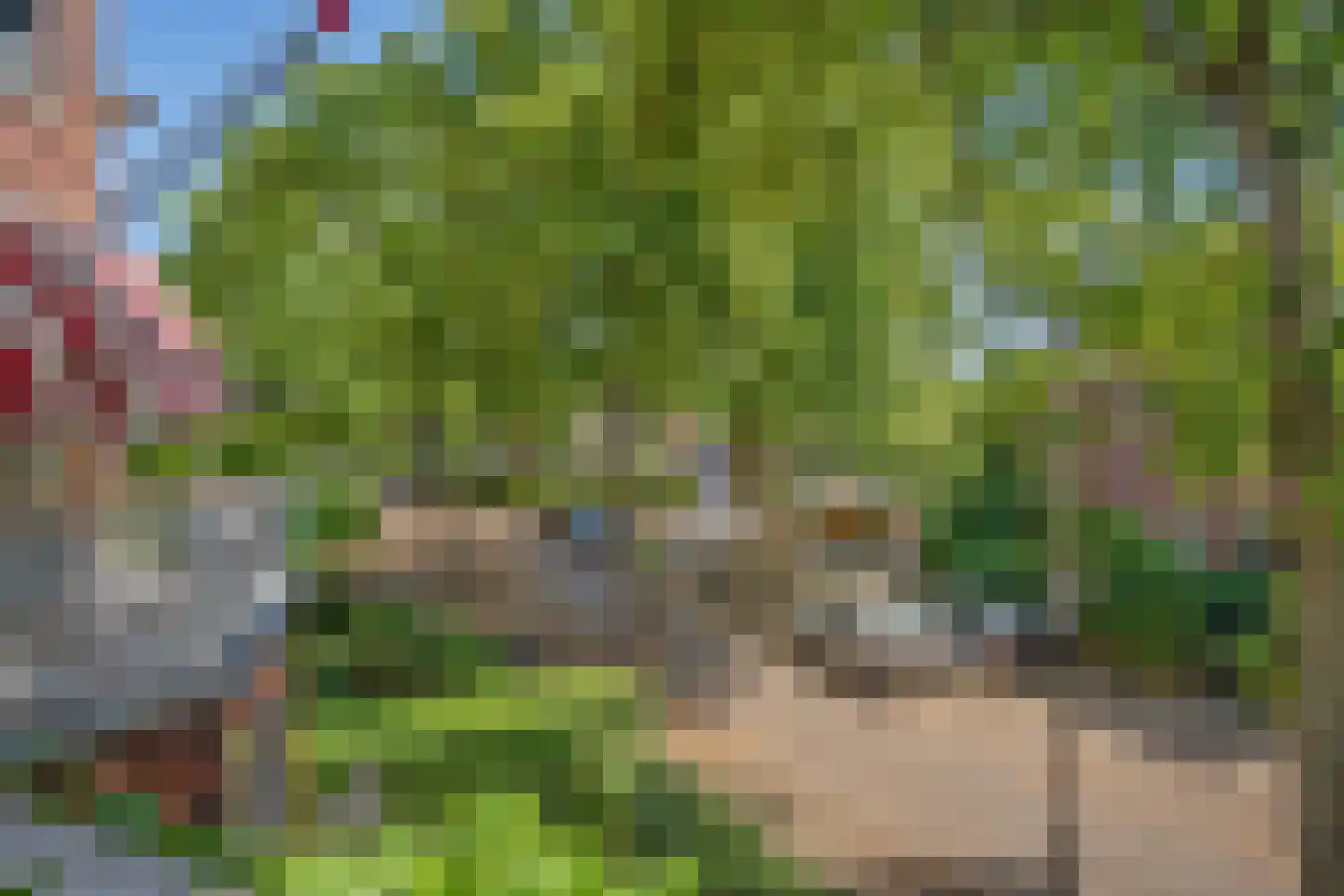 Leeuwendaallaan 7 Rijswijk thumbnail 27