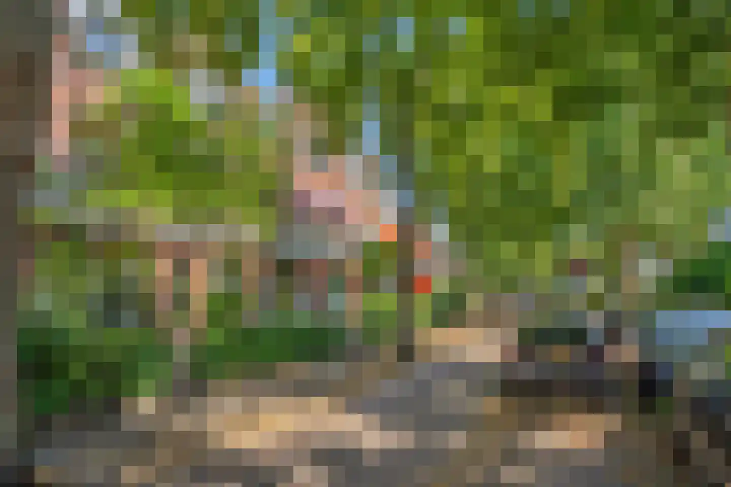Leeuwendaallaan 7 Rijswijk thumbnail 28