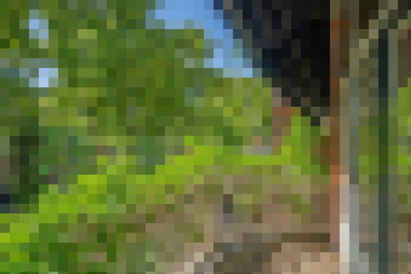 Leeuwendaallaan 7 Rijswijk thumbnail 31