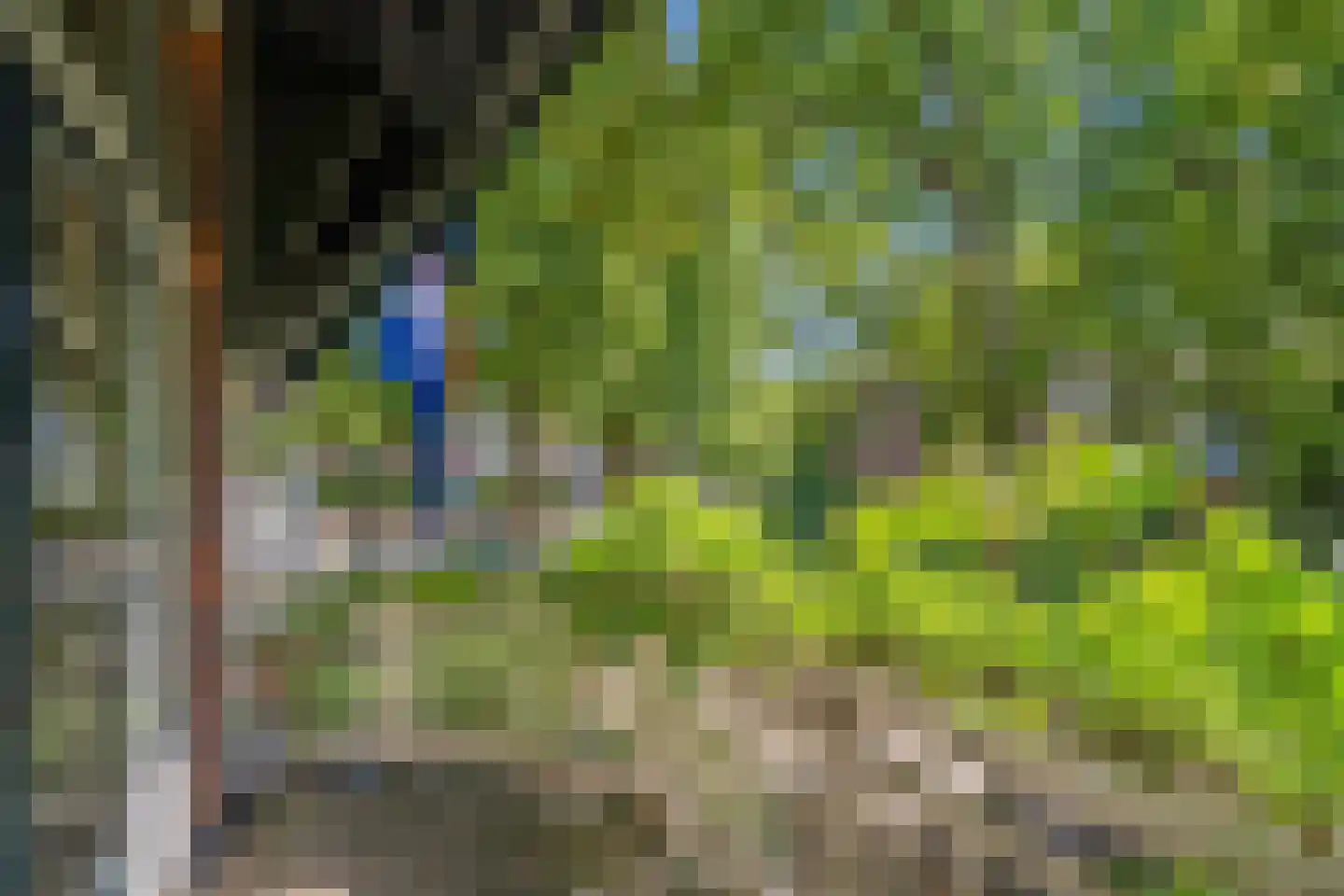 Leeuwendaallaan 7 Rijswijk thumbnail 33