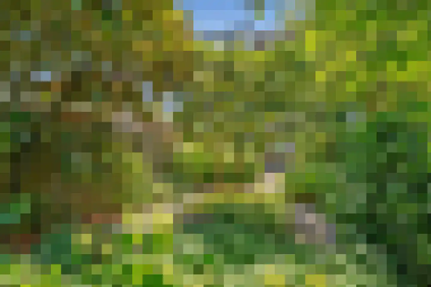 Leeuwendaallaan 7 Rijswijk thumbnail 4