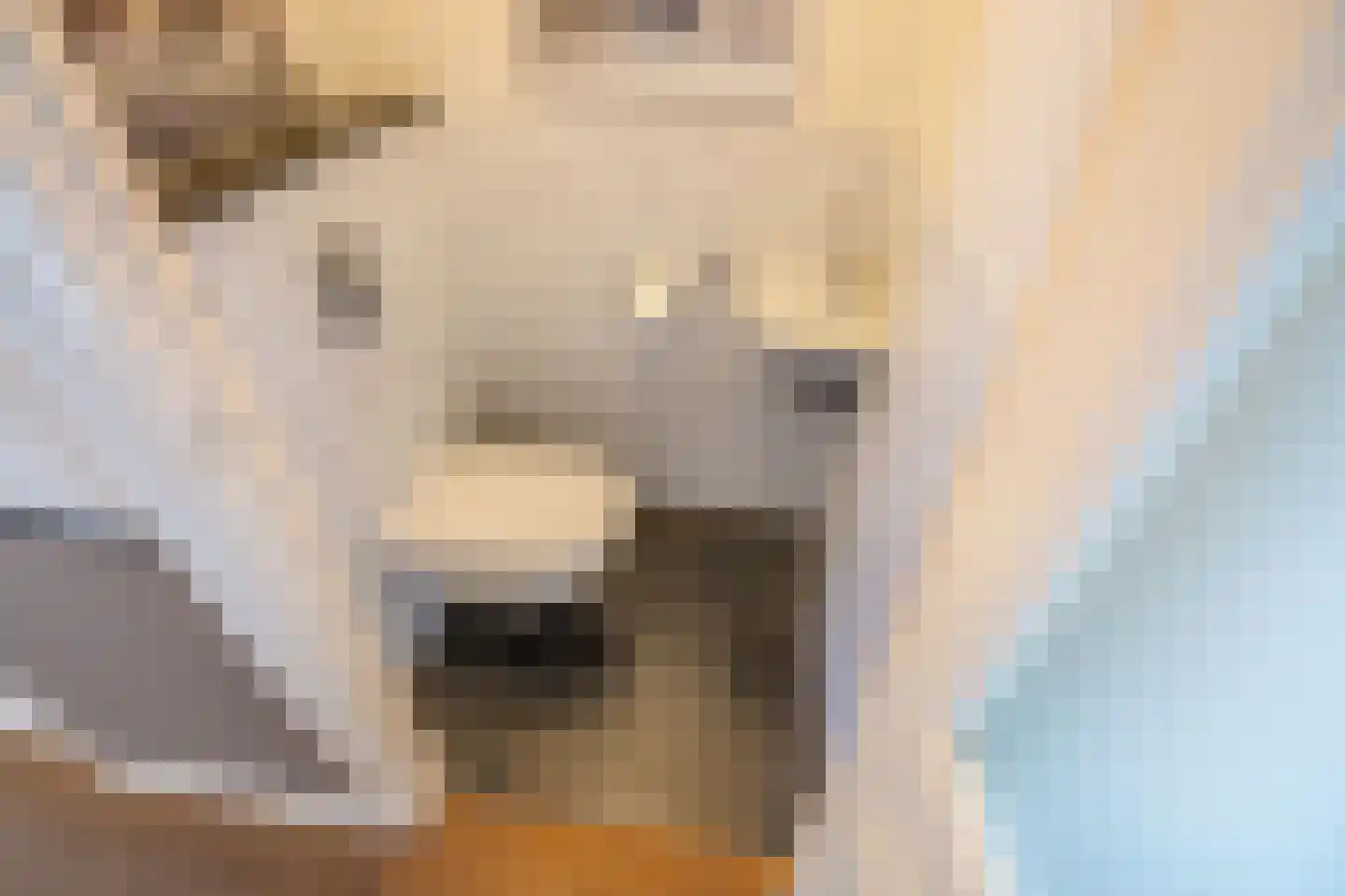 Leeuwendaallaan 7 Rijswijk thumbnail 43