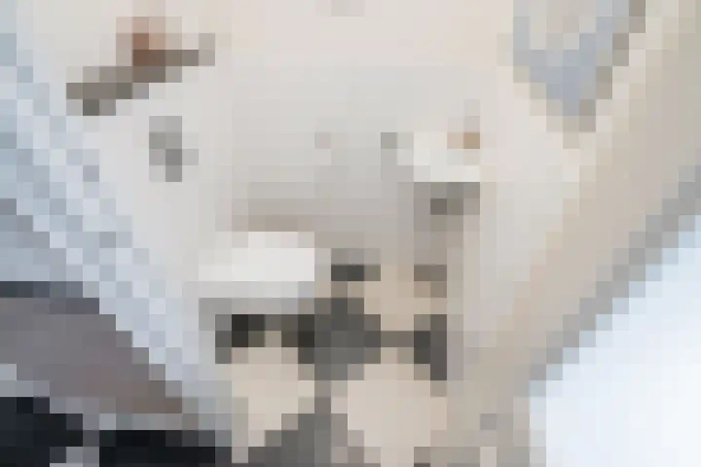 Leeuwendaallaan 7 Rijswijk thumbnail 56