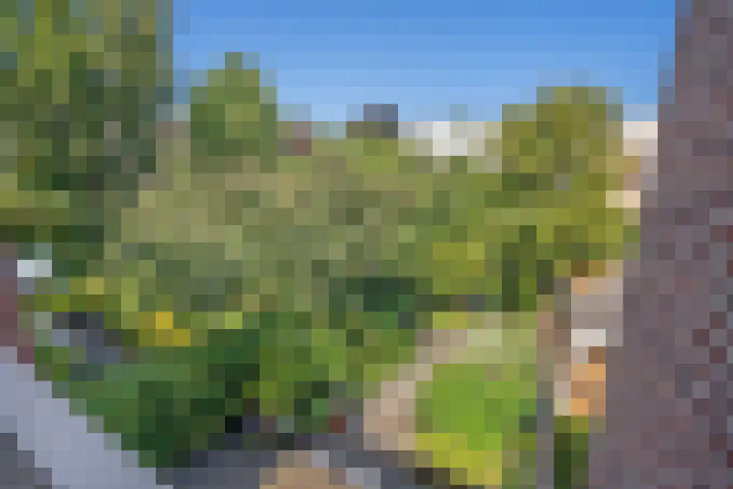Leeuwendaallaan 7 Rijswijk thumbnail 57