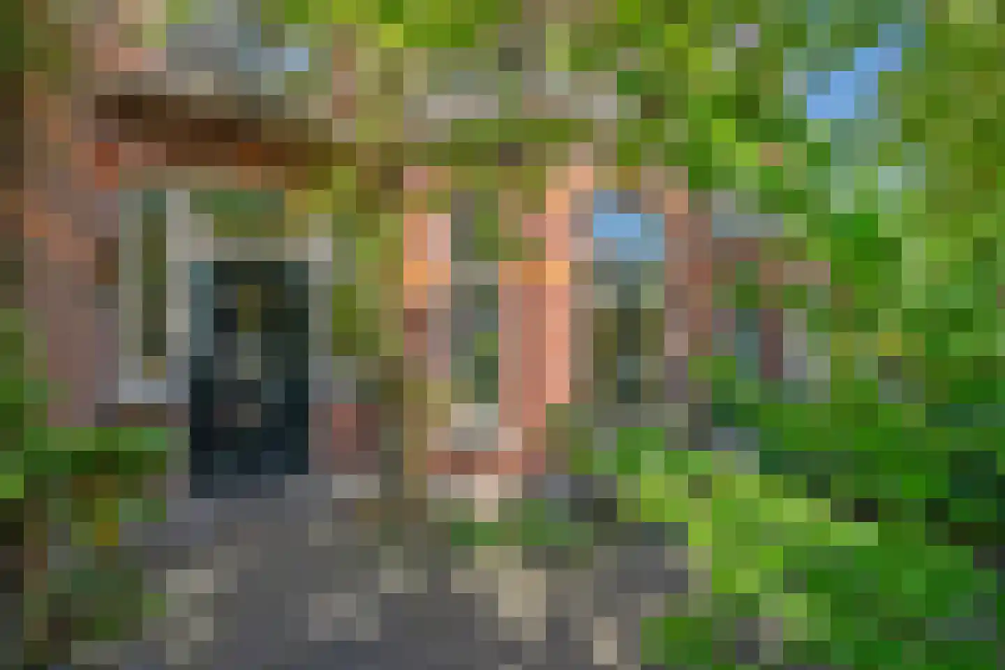 Leeuwendaallaan 7 Rijswijk thumbnail 6
