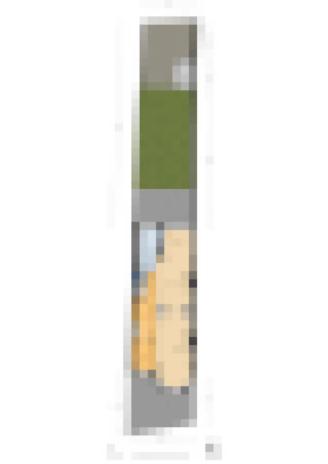 Leeuwendaallaan 7 Rijswijk thumbnail 61