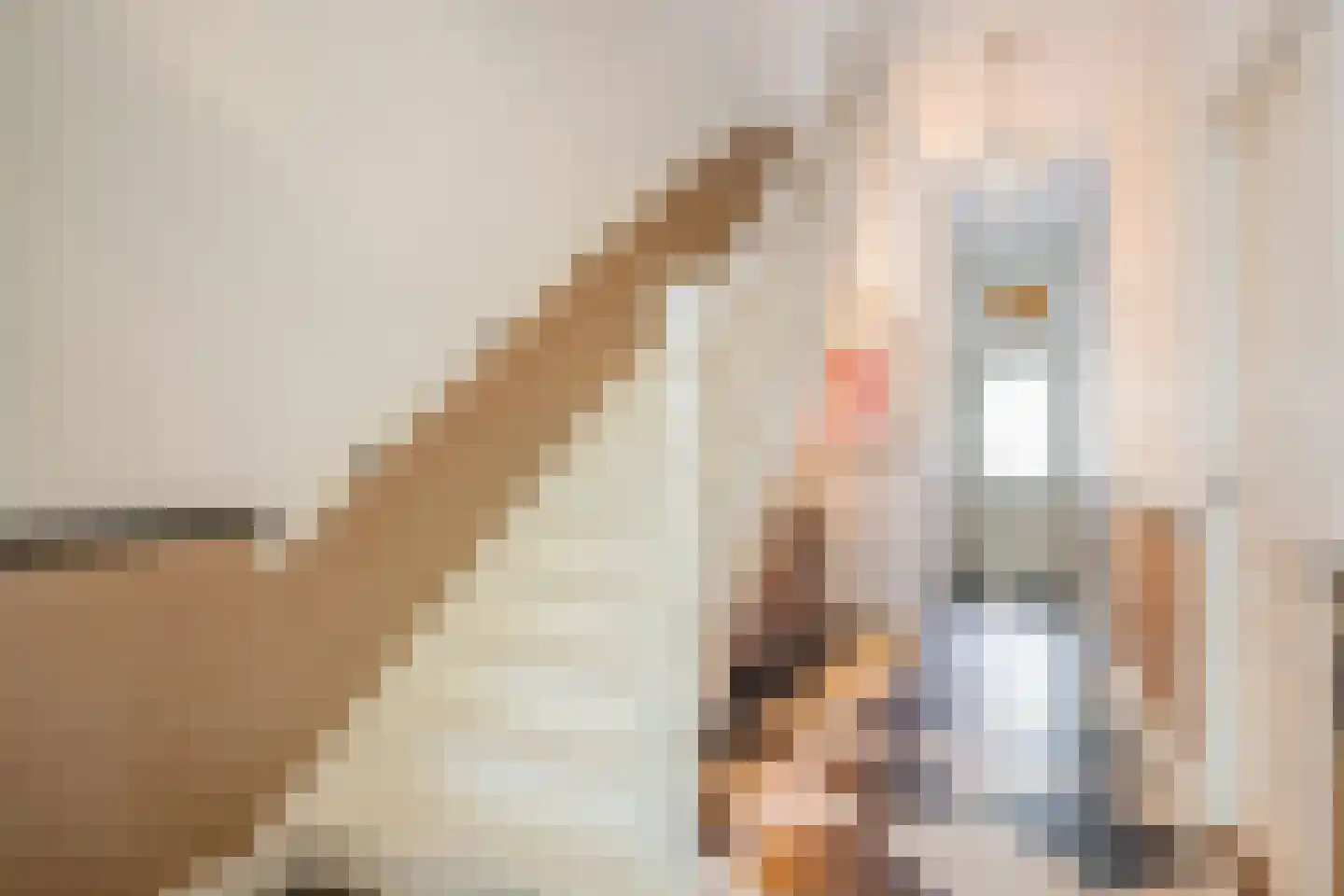 Leeuwendaallaan 7 Rijswijk thumbnail 8
