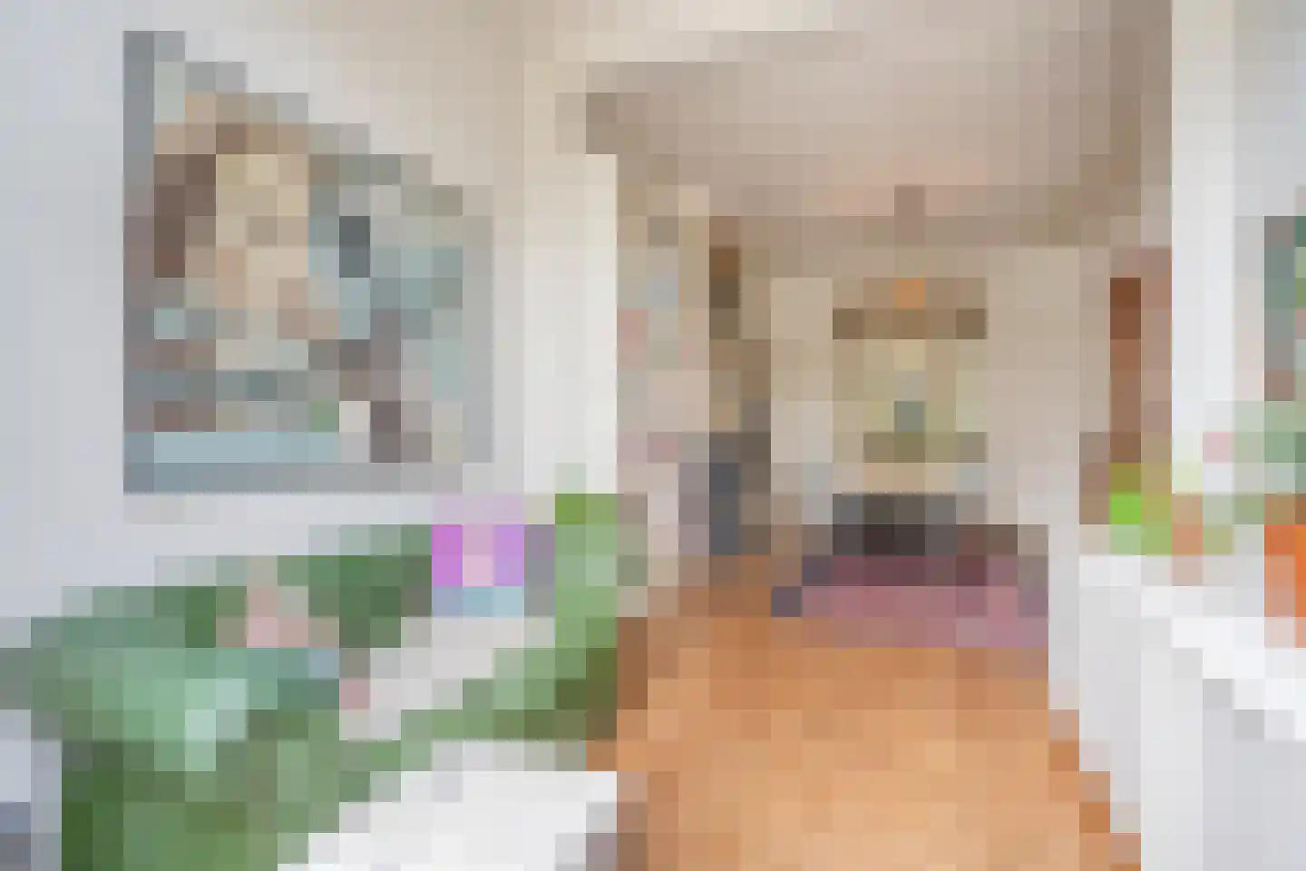 Leeuwendaallaan 7 Rijswijk thumbnail 9