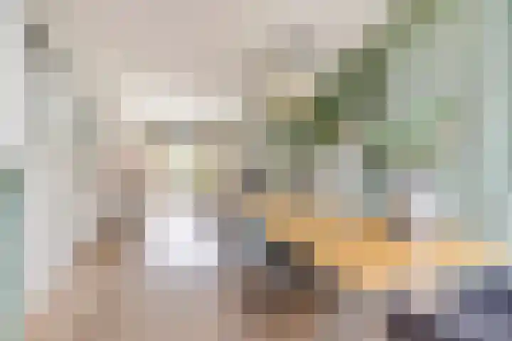 Leeuwendaallaan 77 Rijswijk thumbnail 11