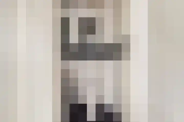 Leeuwendaallaan 77 Rijswijk thumbnail 20