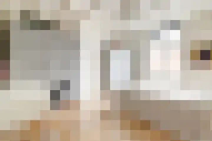 Leeuwendaallaan 77 Rijswijk thumbnail 23