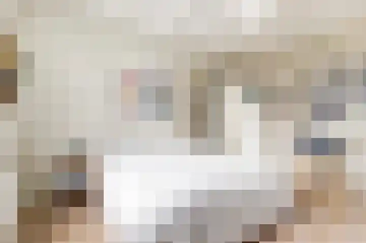 Leeuwendaallaan 77 Rijswijk thumbnail 24