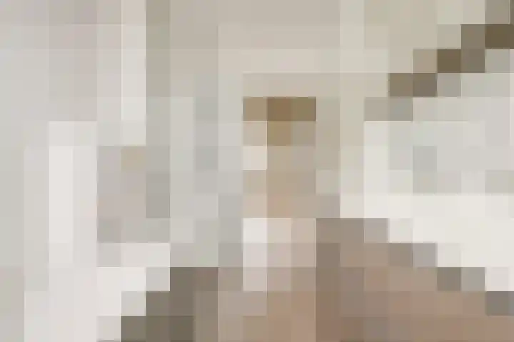 Leeuwendaallaan 77 Rijswijk thumbnail 29