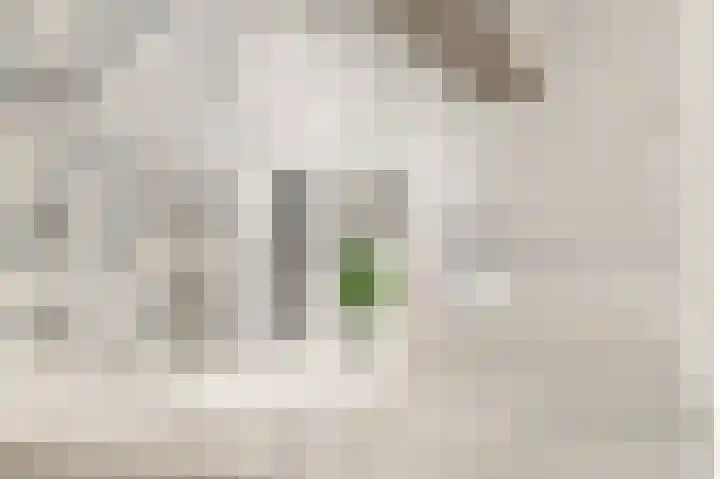 Leeuwendaallaan 77 Rijswijk thumbnail 30