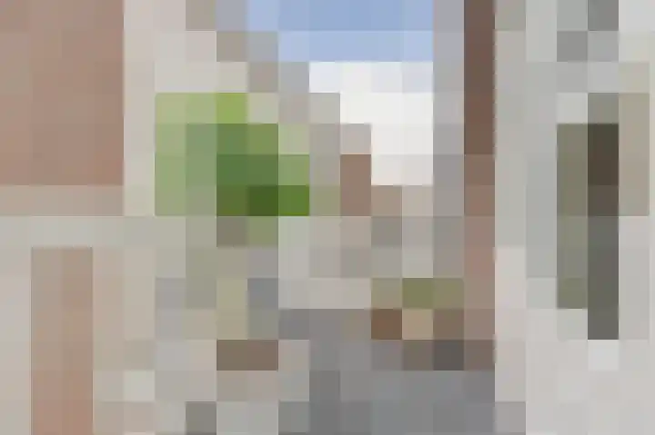 Leeuwendaallaan 77 Rijswijk thumbnail 32
