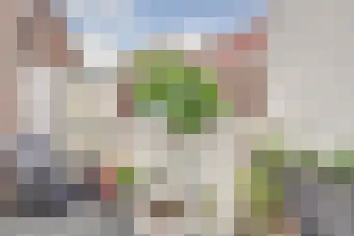 Leeuwendaallaan 77 Rijswijk thumbnail 33