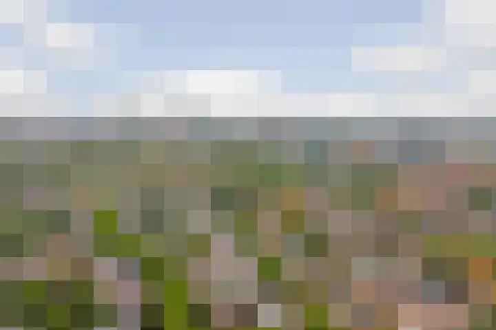 Leeuwendaallaan 77 Rijswijk thumbnail 34