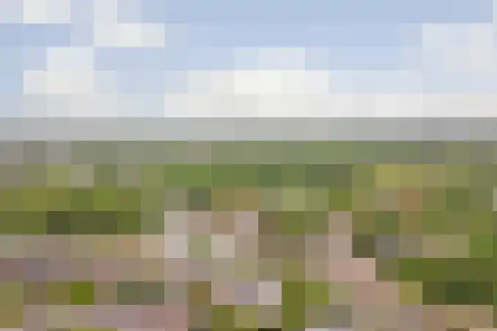 Leeuwendaallaan 77 Rijswijk thumbnail 35