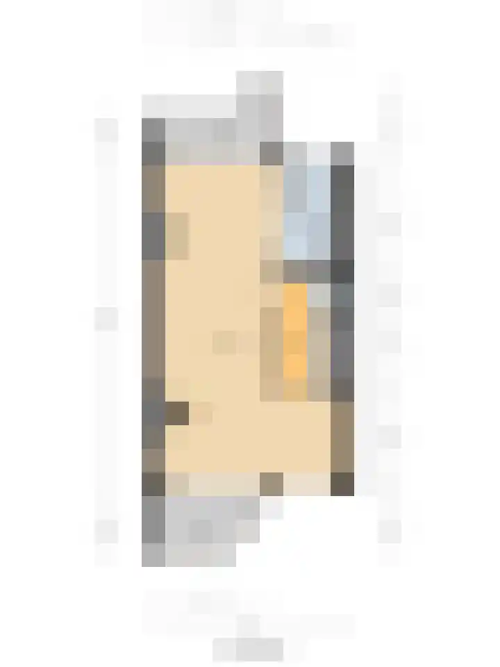 Leeuwendaallaan 77 Rijswijk thumbnail 38