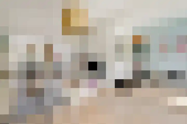 Leeuwendaallaan 77 Rijswijk thumbnail 5