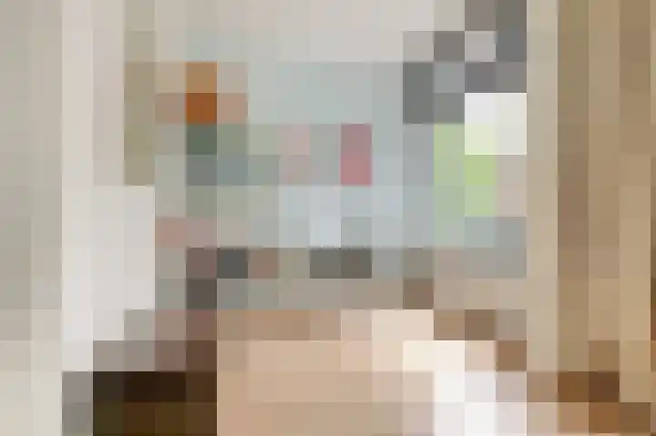 Leeuwendaallaan 77 Rijswijk thumbnail 6