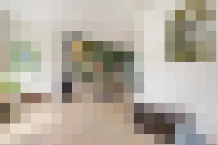 Leeuwendaallaan 77 Rijswijk thumbnail 8