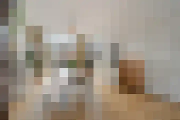Leeuwendaallaan 87 Rijswijk thumbnail 10