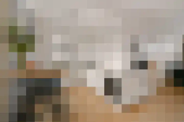 Leeuwendaallaan 87 Rijswijk thumbnail 14