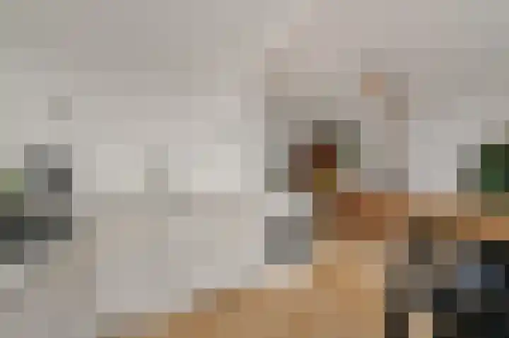 Leeuwendaallaan 87 Rijswijk thumbnail 15