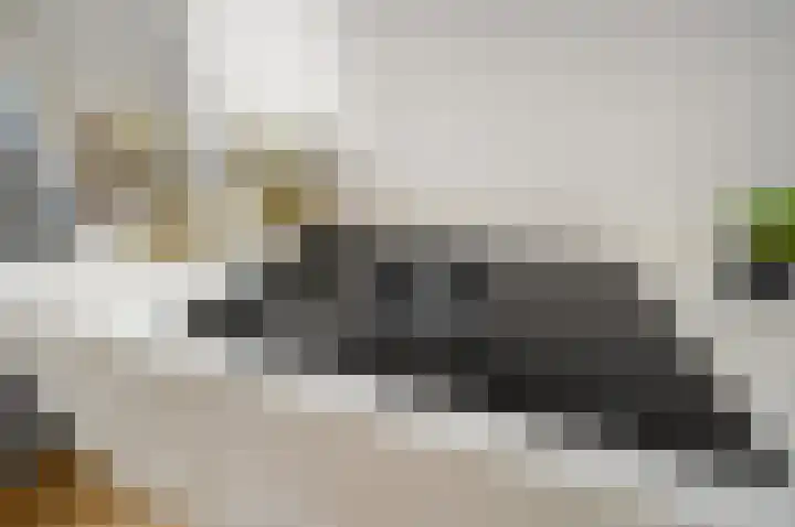 Leeuwendaallaan 87 Rijswijk thumbnail 16