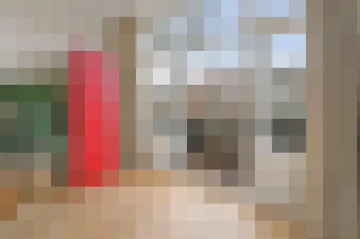 Leeuwendaallaan 87 Rijswijk thumbnail 17