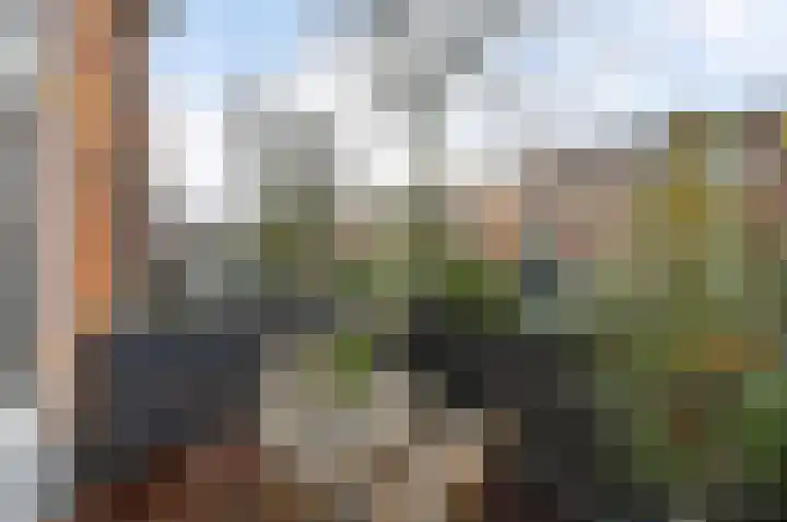 Leeuwendaallaan 87 Rijswijk thumbnail 19