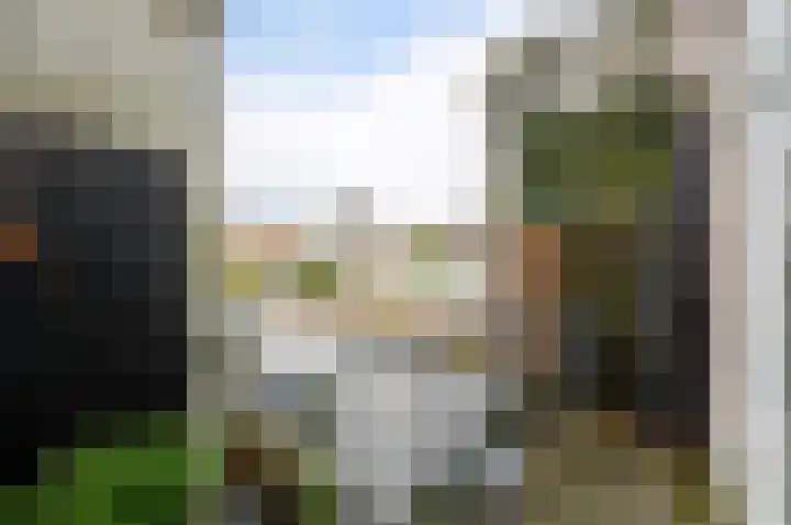 Leeuwendaallaan 87 Rijswijk thumbnail 20