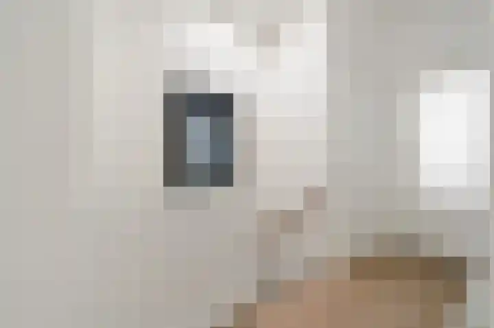 Leeuwendaallaan 87 Rijswijk thumbnail 24