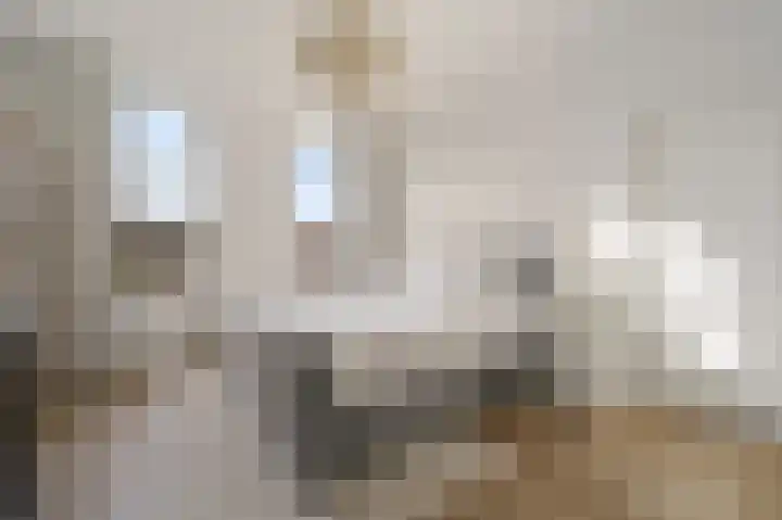 Leeuwendaallaan 87 Rijswijk thumbnail 26