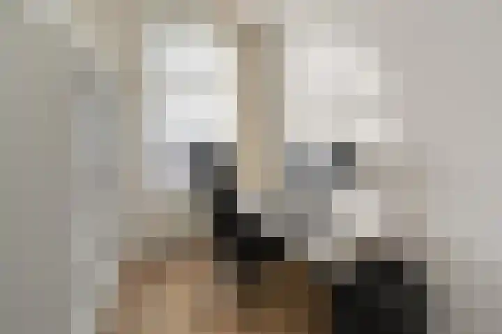 Leeuwendaallaan 87 Rijswijk thumbnail 28