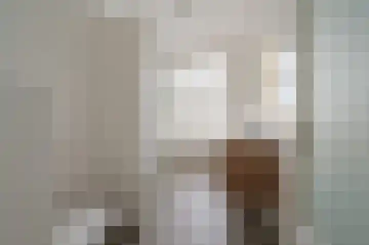 Leeuwendaallaan 87 Rijswijk thumbnail 30