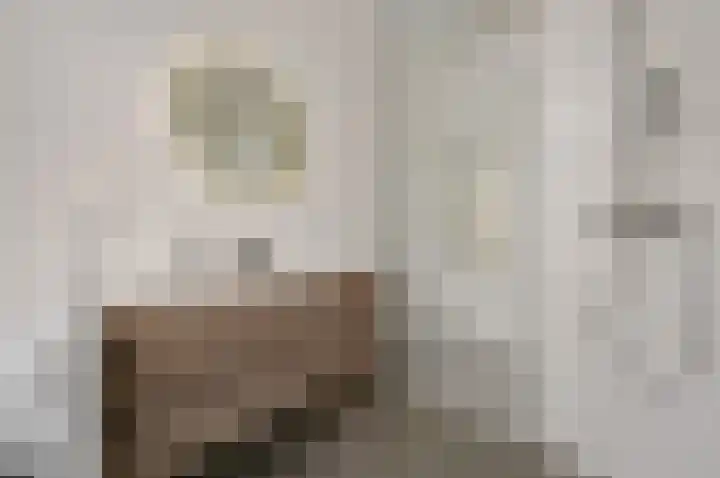 Leeuwendaallaan 87 Rijswijk thumbnail 31