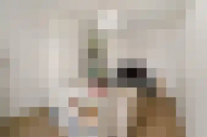 Leeuwendaallaan 87 Rijswijk thumbnail 34
