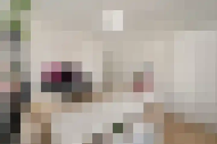 Leeuwendaallaan 87 Rijswijk thumbnail 35