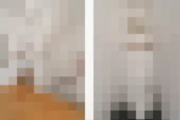 Leeuwendaallaan 87 Rijswijk thumbnail 5