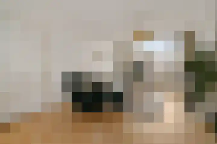 Leeuwendaallaan 87 Rijswijk thumbnail 6