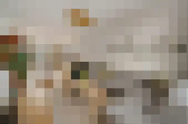 Leeuwendaallaan 87 Rijswijk thumbnail 8