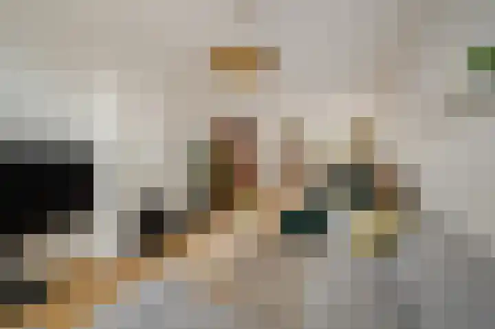 Leeuwendaallaan 87 Rijswijk thumbnail 9