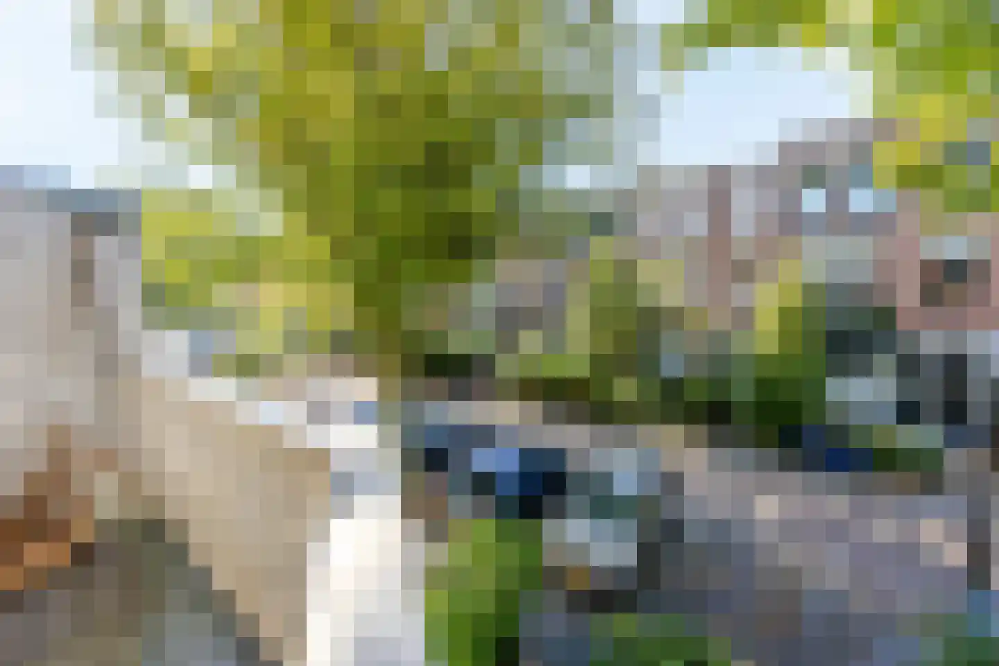 Leeuwendaallaan 95 Rijswijk thumbnail 11