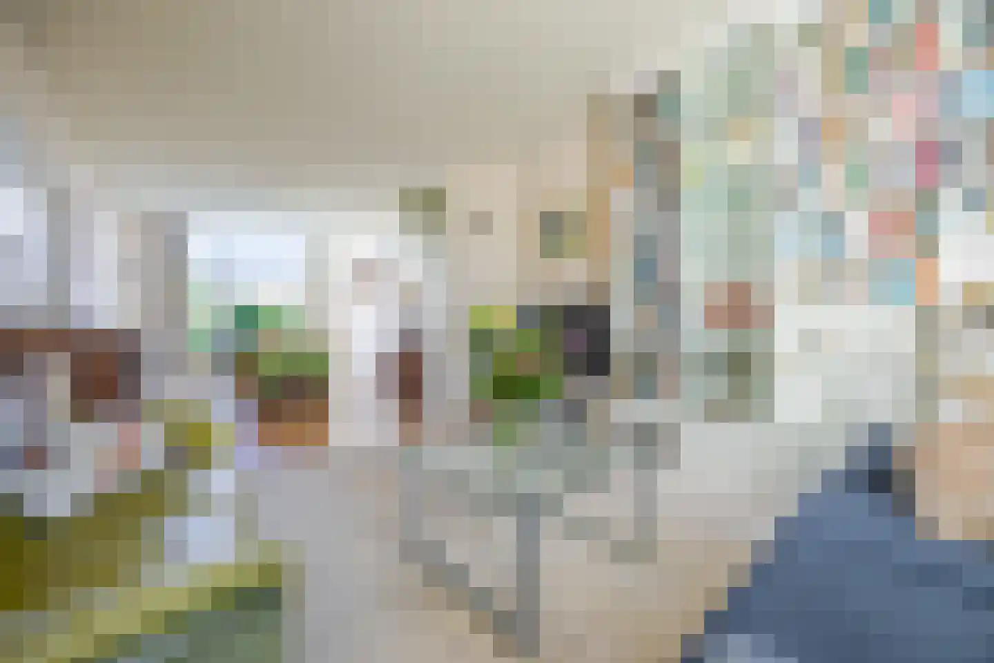 Leeuwendaallaan 95 Rijswijk thumbnail 12