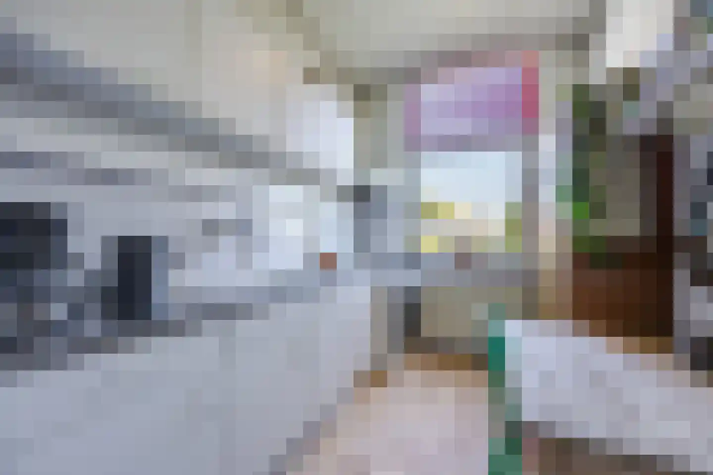 Leeuwendaallaan 95 Rijswijk thumbnail 19