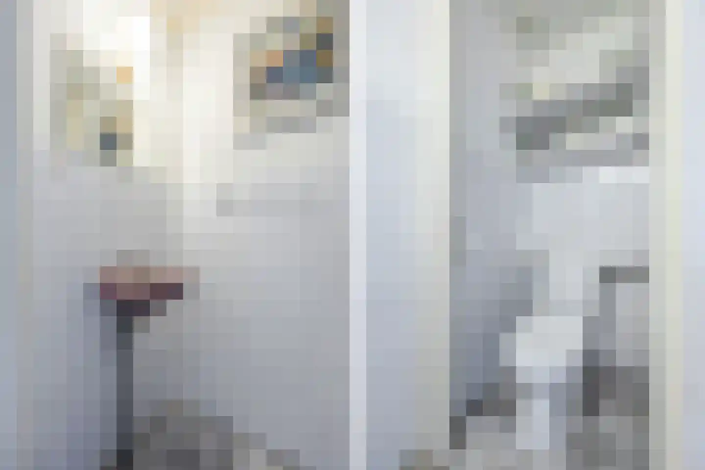 Leeuwendaallaan 95 Rijswijk thumbnail 21