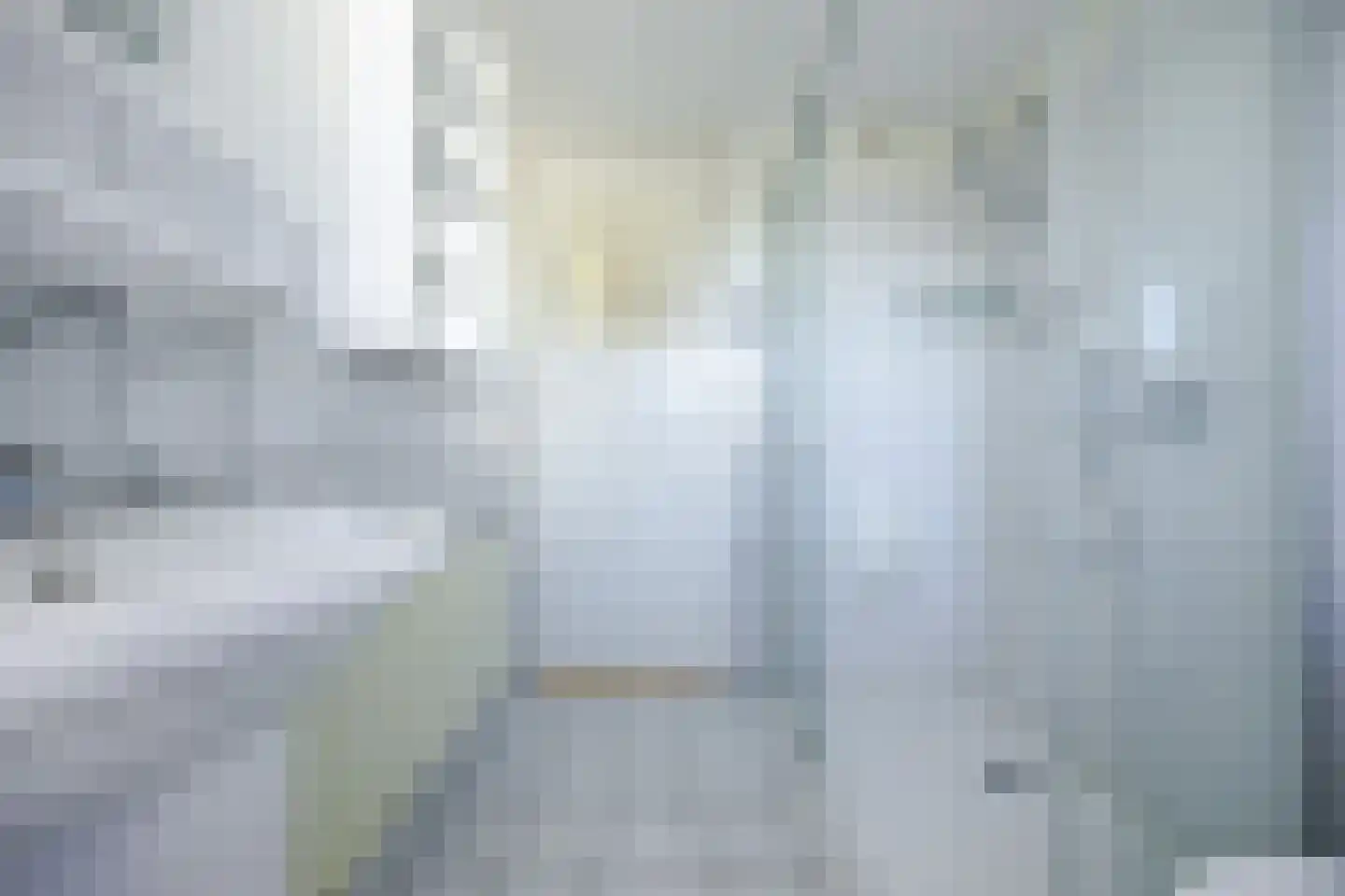 Leeuwendaallaan 95 Rijswijk thumbnail 33