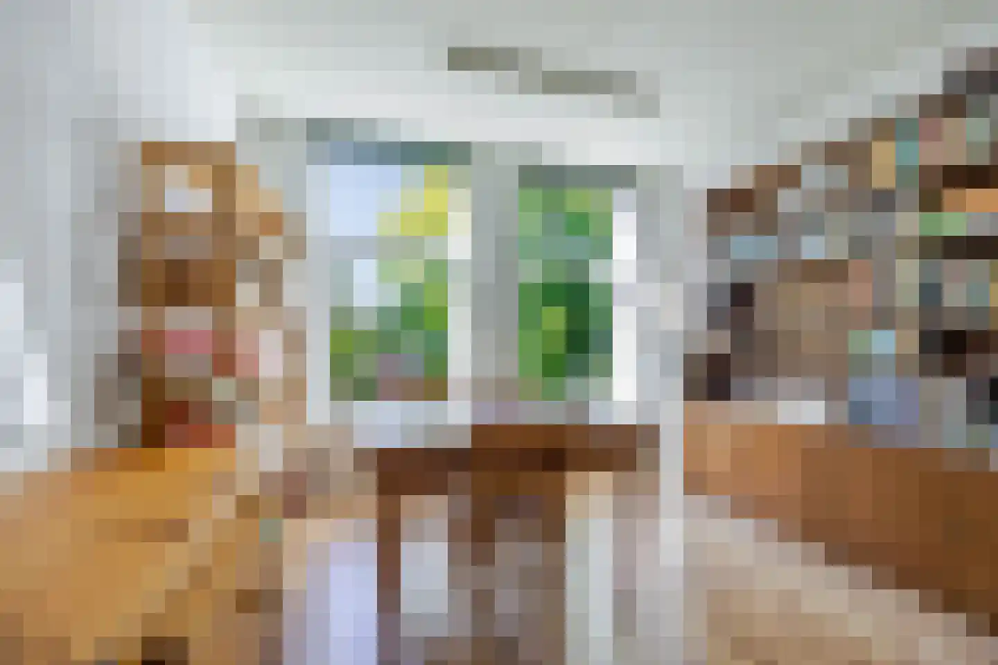 Leeuwendaallaan 95 Rijswijk thumbnail 36